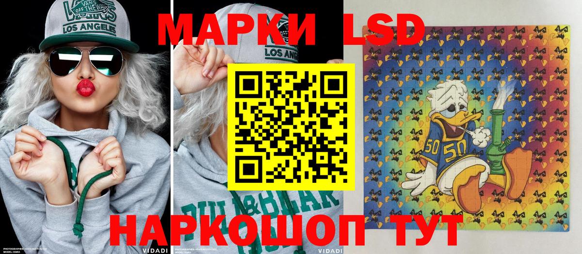 Меф Каменск-Шахтинский