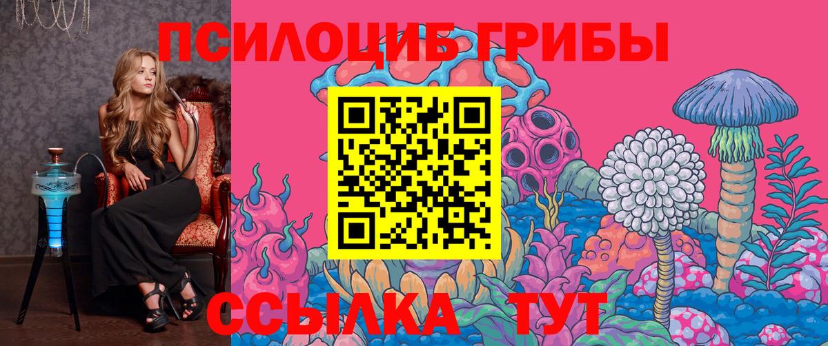 Псилоцибиновые грибы Psilocybe  хочу   Каменск-Шахтинский  Галлюциногенные грибы Cubensis  Вход с VPN 