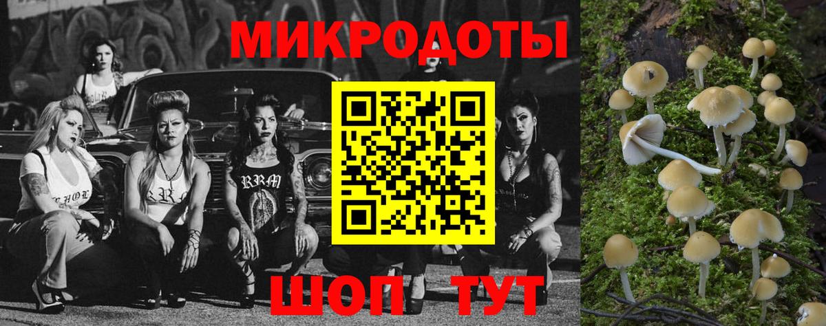 Галлюциногенные грибы MAGIC MUSHROOMS Каменск-Шахтинский